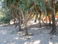 DSCN0672.JPG