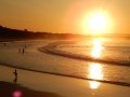 DSCN0725.JPG